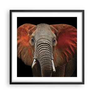 Poszter fehér keretben - Én vad vagyok, és te? - 50x50 cm