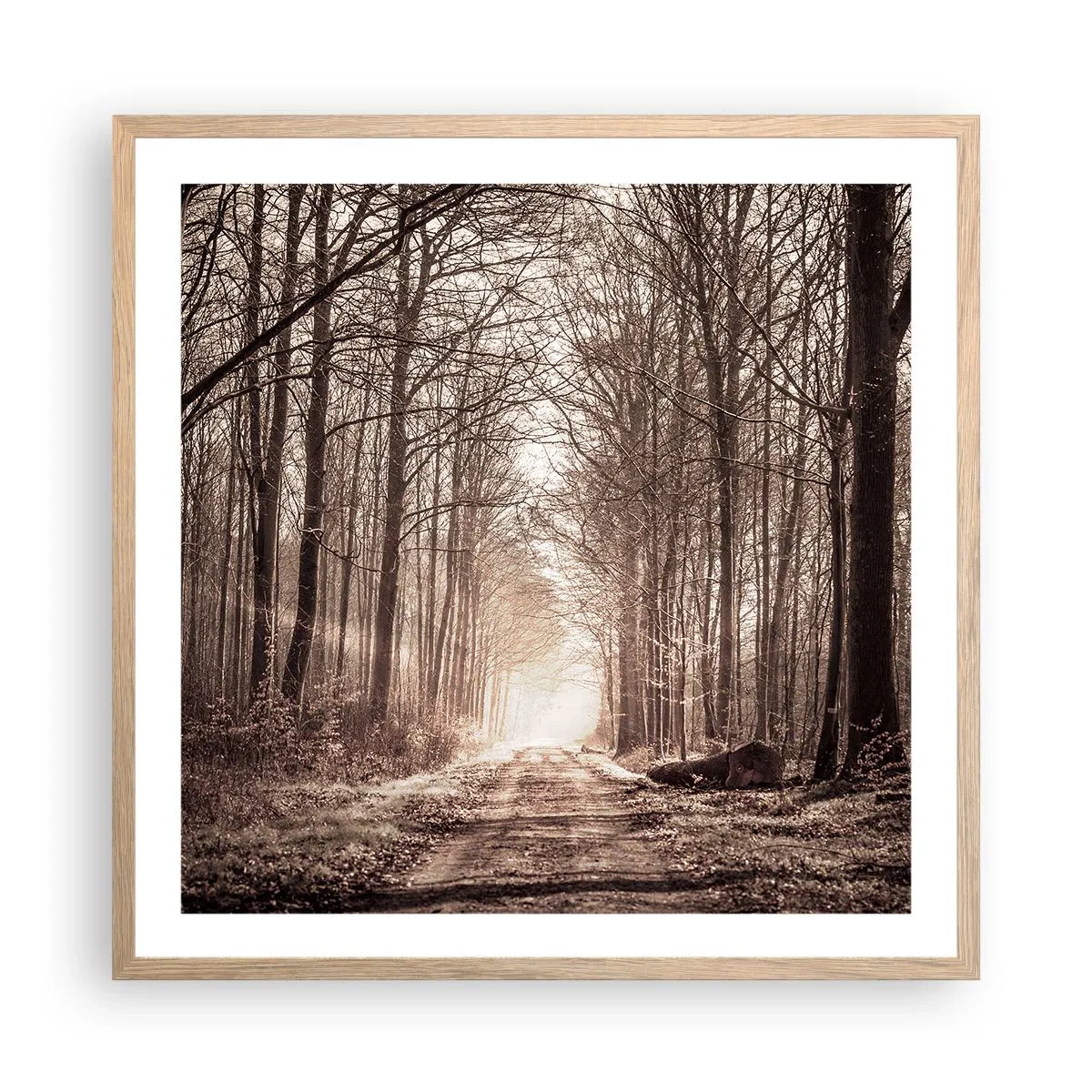 Poszter világos tölgy keretben - Erdei katedrális - 60x60 cm