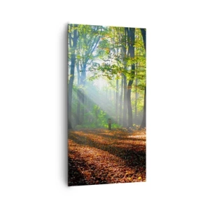 Vászonkép - Ragyogások és árnyékok - 65x120 cm