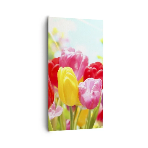 Vászonkép - Mi vagyunk, a május színei! - 65x120 cm