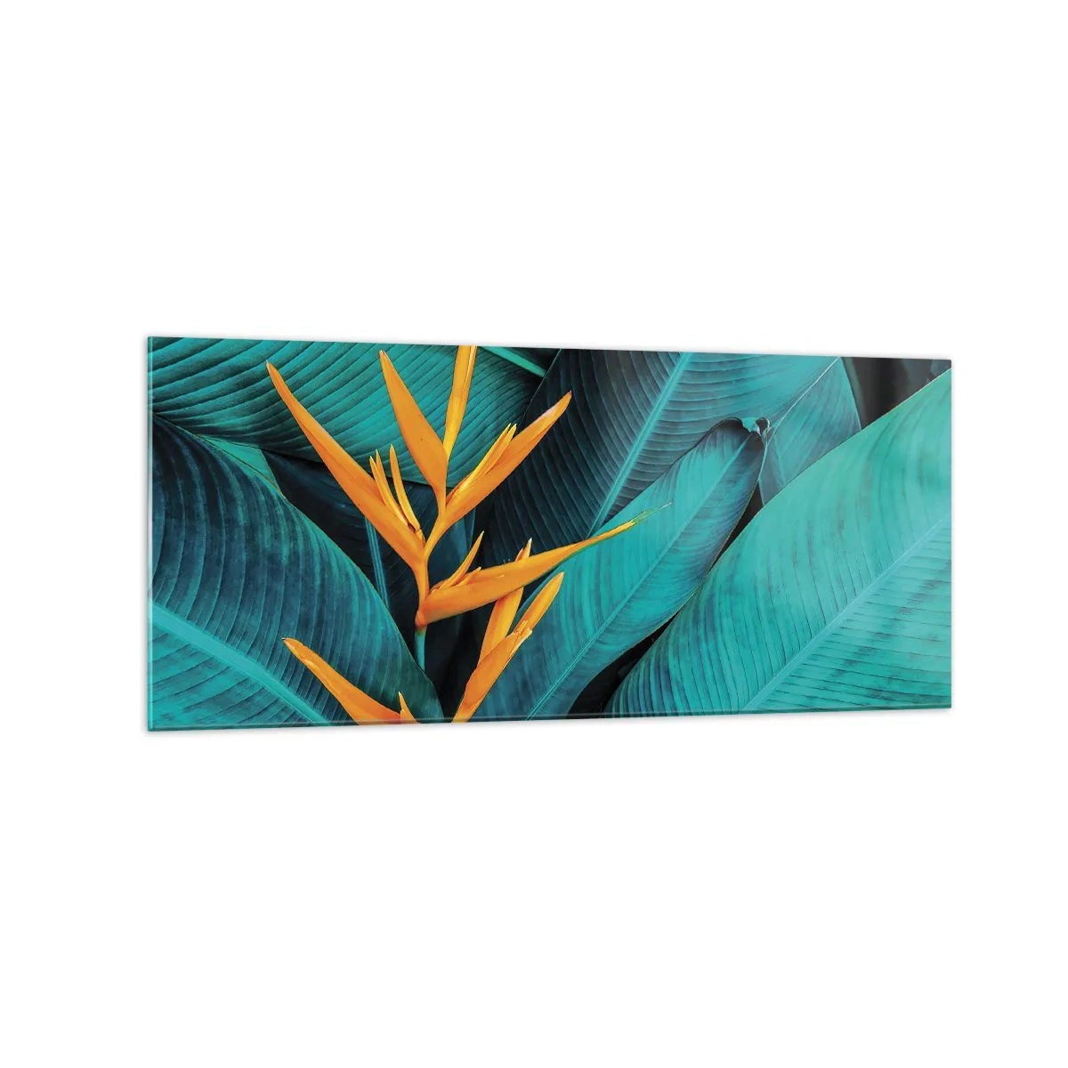 Üveg kép - Éden virága - 120x50 cm