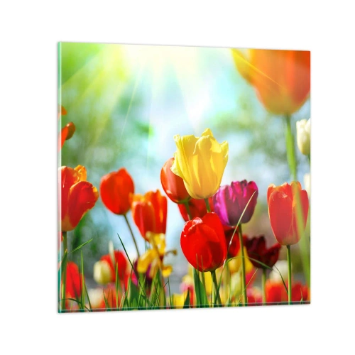 Üveg kép - A nap minden színe - 60x60 cm