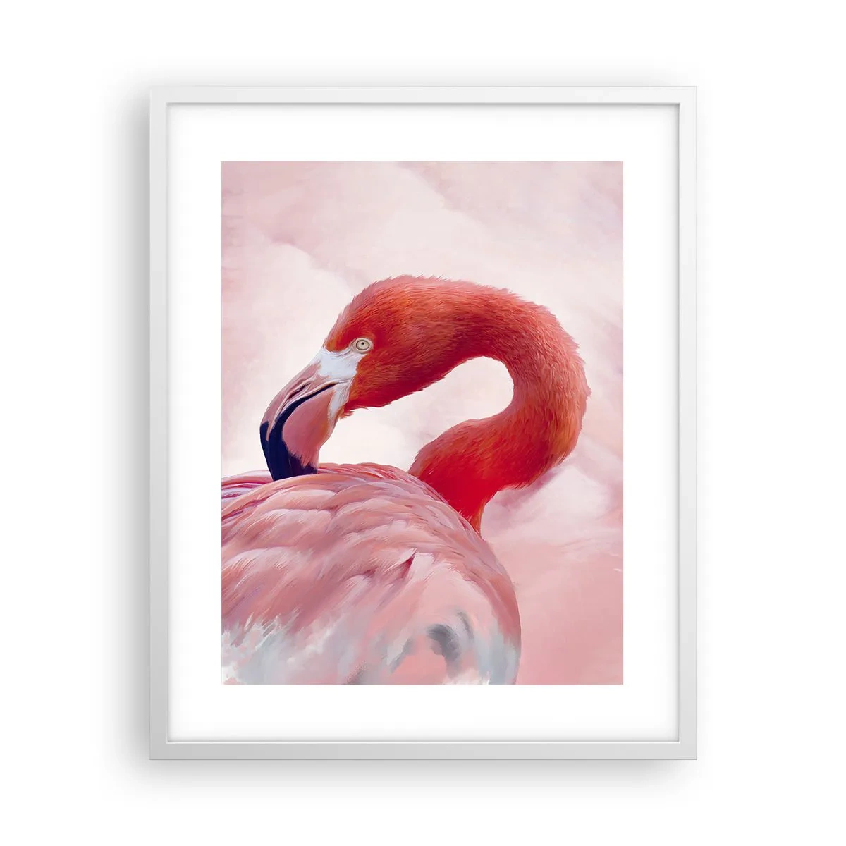 Poszter fekete keretben - Madári szépség - 40x50 cm