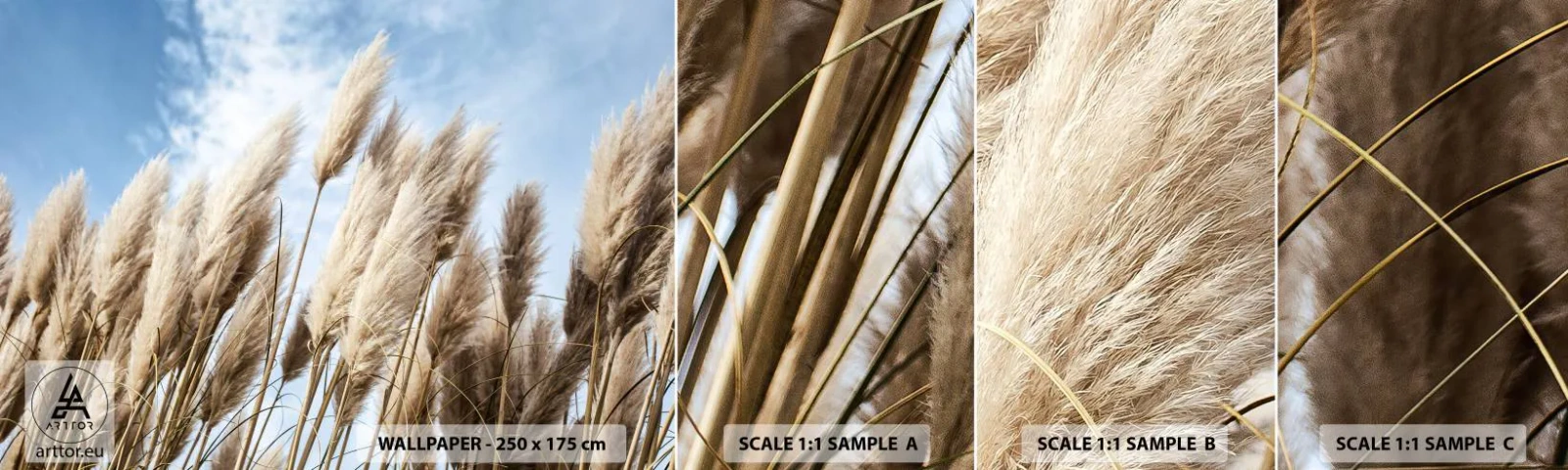Fotótapéta Minta Öntapadós Deluxe Sticker - Napos és szeles simogatás - Pampas fű, Természet, Boho - 100x30 cm