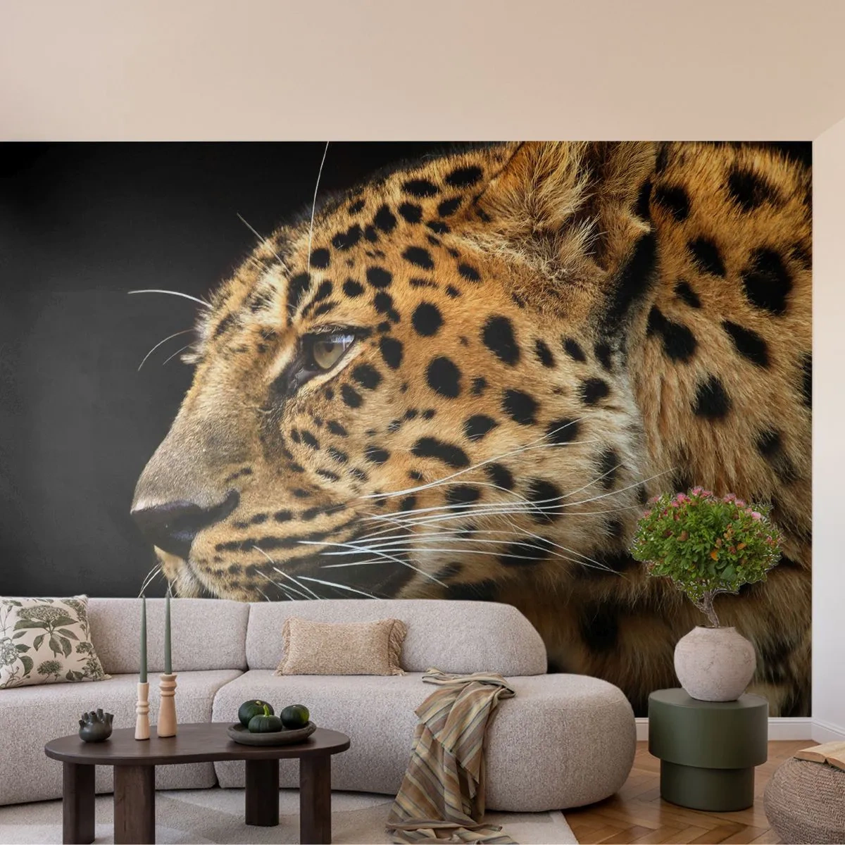 Fotótapéta Premium Sand - Nyugodt, koncentrált, kész - Állatok, leopárd, Afrika - 100x70 cm