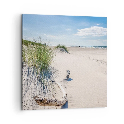 Vászonkép - A leggyönyörűbb? A Balti - 60x60 cm