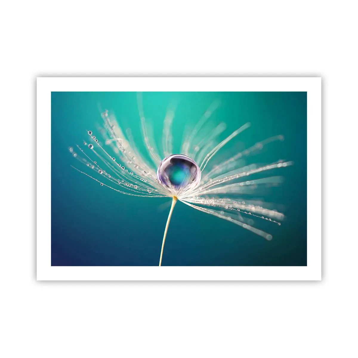 Poszter - Misztikus pillanat - 70x50 cm