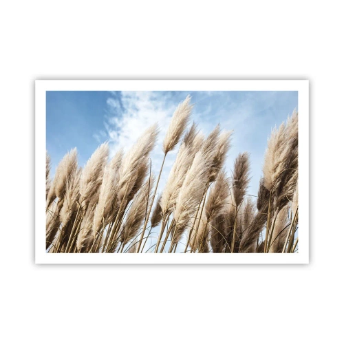 Poszter - Napos és szeles simogatás - 91x61 cm