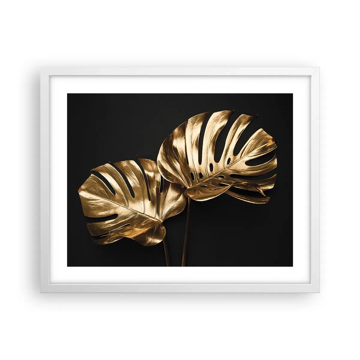 Poszter fekete keretben - A természet kincsei - 50x40 cm