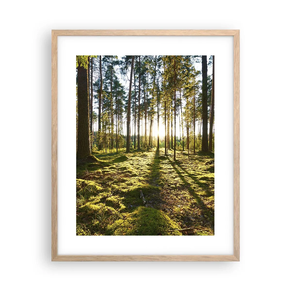 Poszter világos tölgy keretben - … A hét erdőn túl - 40x50 cm