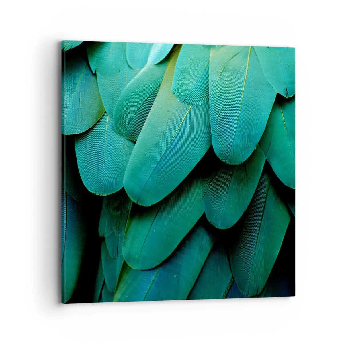 Vászonkép - A papagájtermészet precizitása - 70x70 cm