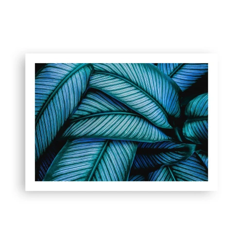 Poszter - Életvonalak - 70x50 cm