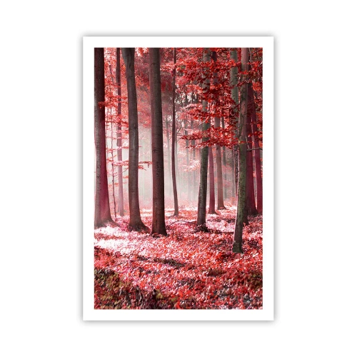 Poszter - A piros különösen szép - 61x91 cm
