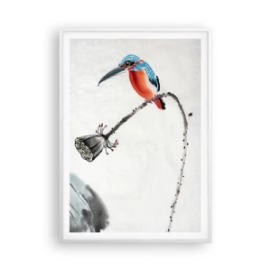 Poszter fekete keretben - A rét élete - 70x100 cm