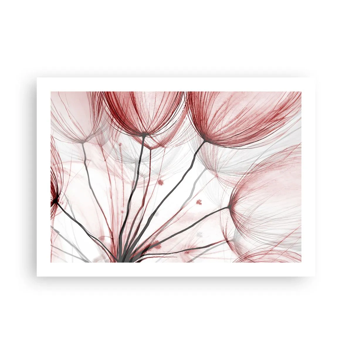 Poszter - Felszállás előtt - 70x50 cm