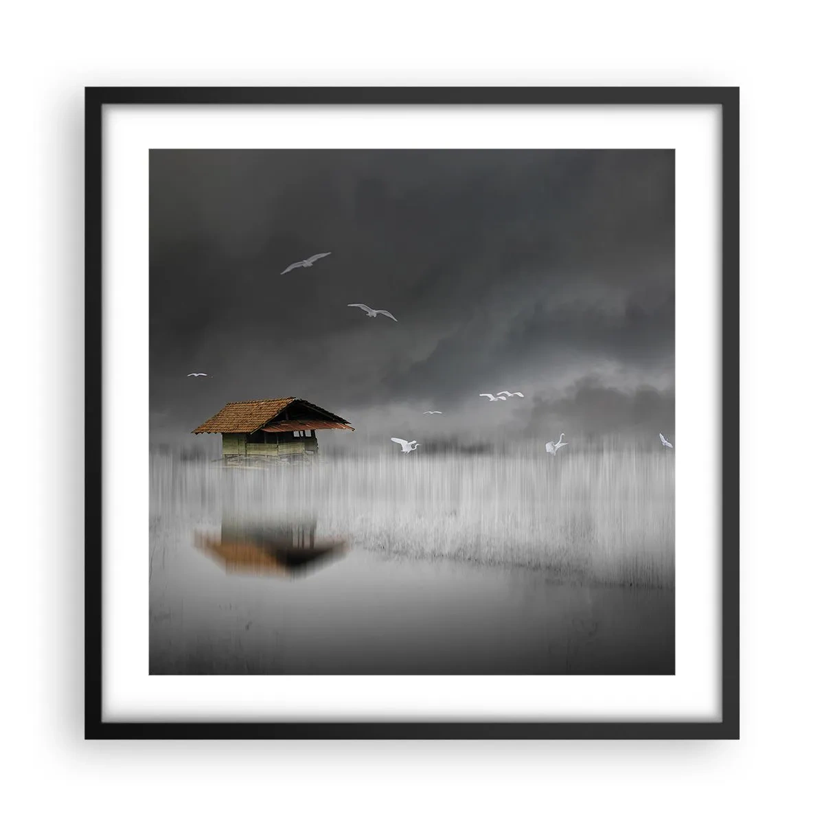 Poszter fehér keretben - Menedék az esőtől - 50x50 cm