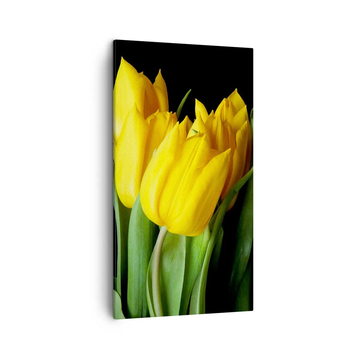 Vászonkép - Tiszta napból készült - 45x80 cm