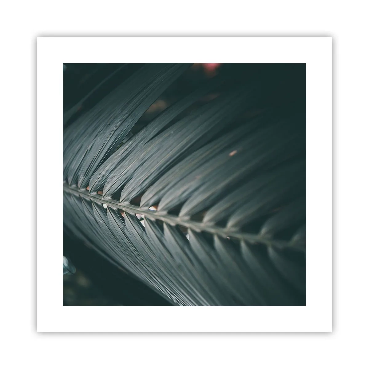 Poszter - A természet pontossága - 40x40 cm