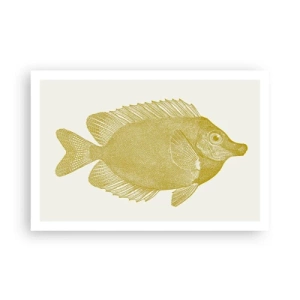 Poszter - Csak a hal - 91x61 cm