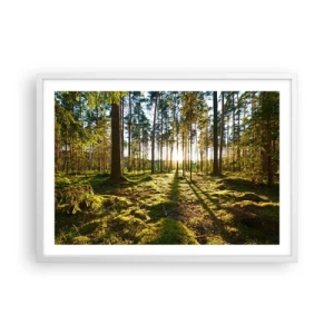 Poszter fekete keretben - … A hét erdőn túl - 70x50 cm