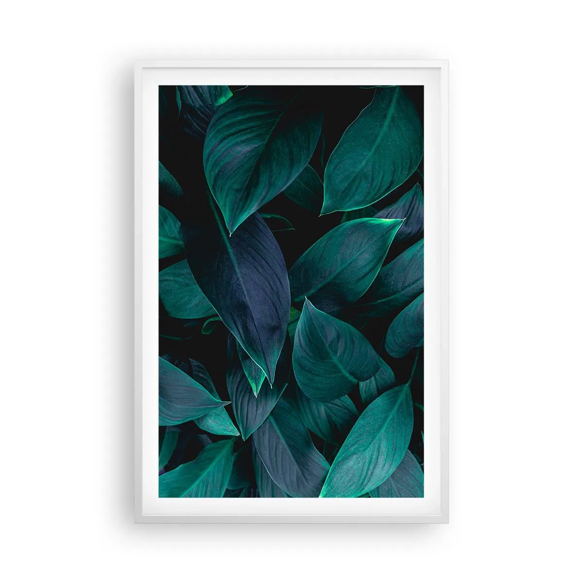 Poszter fekete keretben - Maga a zöldellő növényzet - 61x91 cm