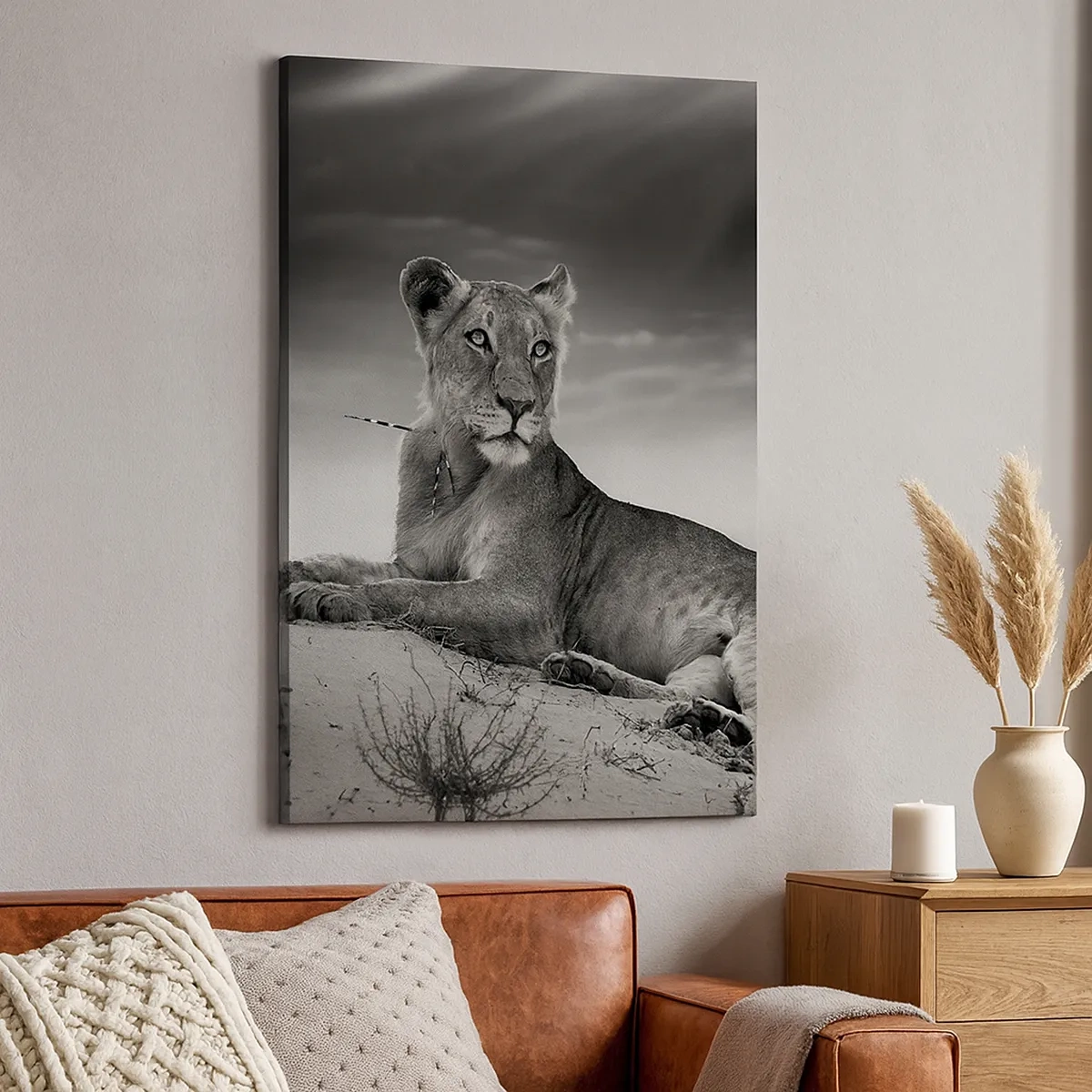 Vászonkép - A sivatagi királynő pihenése - 50x70 cm