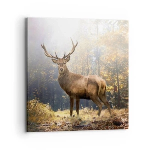 Vászonkép - Teljes fenségben - 70x70 cm