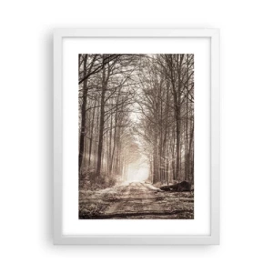 Poszter fekete keretben - Erdei katedrális - 30x40 cm