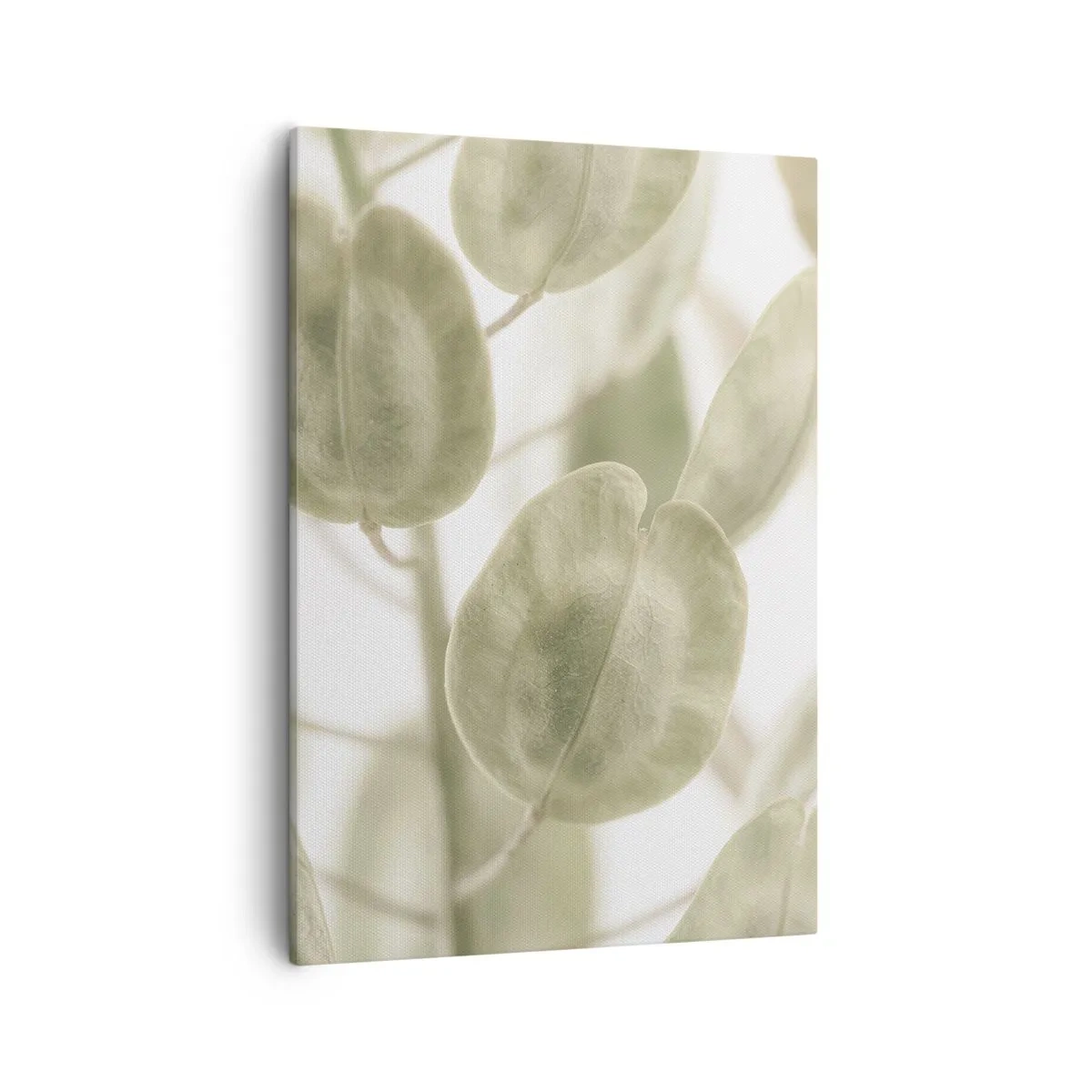 Vászonkép - Kezdetben levelek voltak... - 50x70 cm