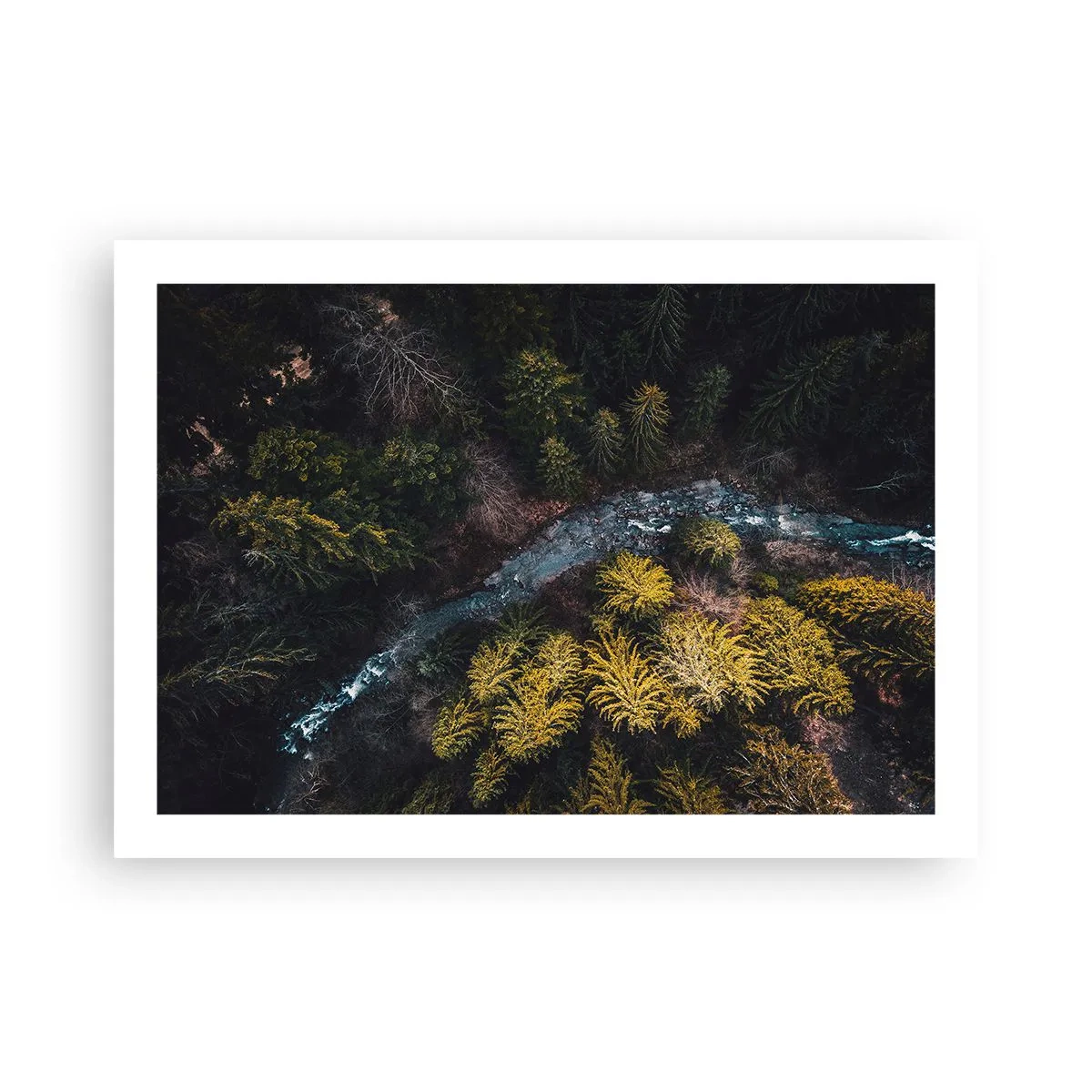 Poszter - Gyorsan, egyre gyorsabban - 70x50 cm