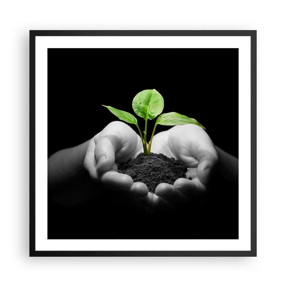 Poszter fehér keretben - Szeretem a természetet, védem azt - 60x60 cm