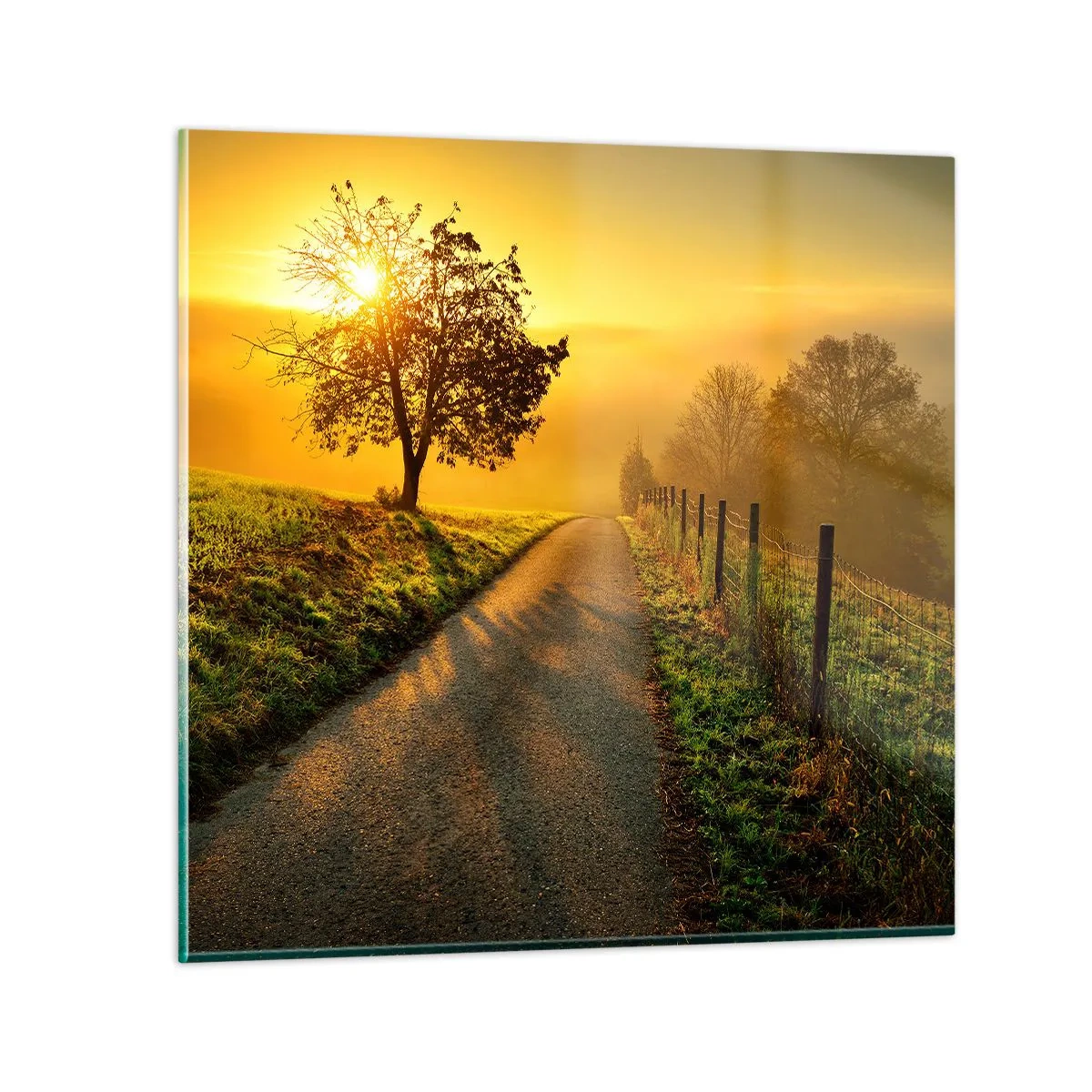 Üveg kép - Mézes délután - 50x50 cm