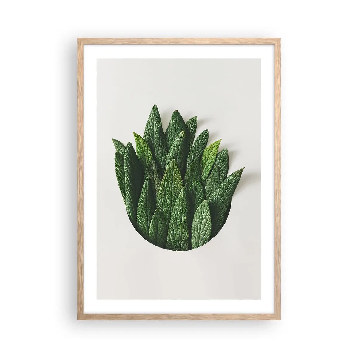 Poszter világos tölgy keretben - Féktelen kíváncsiság - 50x70 cm