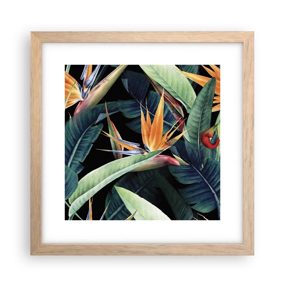 Poszter világos tölgy keretben - A trópusok lángoló virágai - 30x30 cm