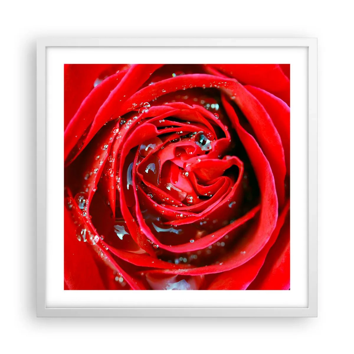 Poszter fekete keretben - A harmatcseppekben - 50x50 cm