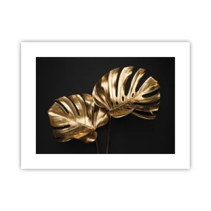 Poszter - A természet kincsei - 40x30 cm