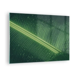 Üveg kép - Zöld levél közeli képe vízcseppekkel - 70x50cm - A növényzet szerkezete - Modern fali dekoráció nappalihoz és hálószobához ARTTOR