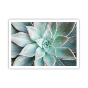 Poszter - A sivatag szíve - 100x70 cm