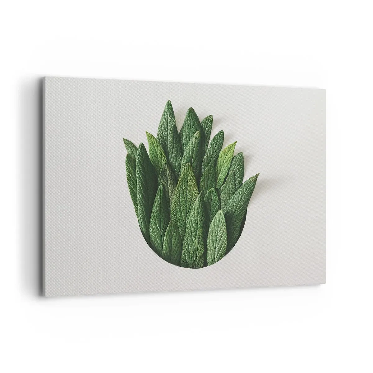 Vászonkép - Féktelen kíváncsiság - 120x80 cm