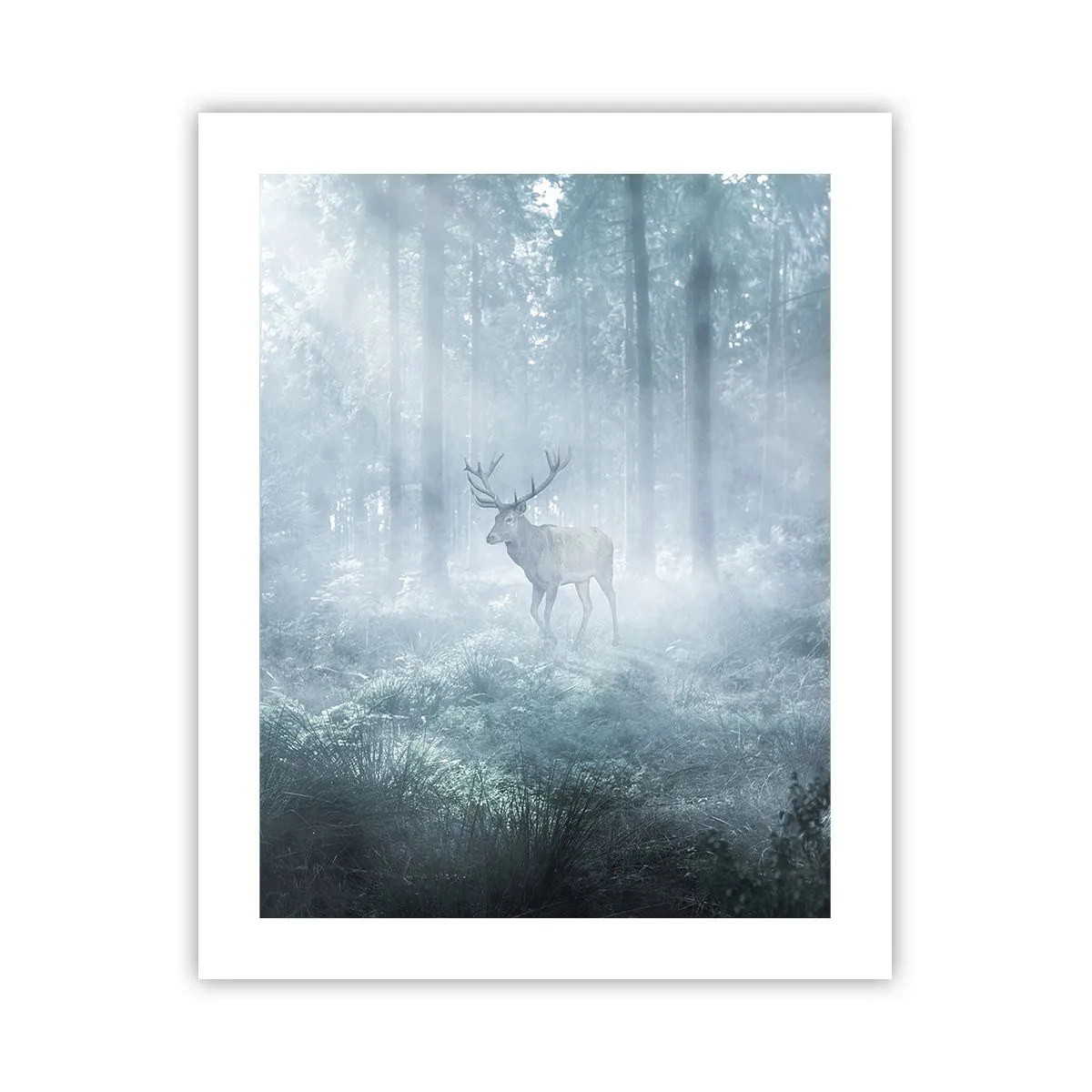 Poszter - Reggeli birtokellenőrzés - 40x50 cm