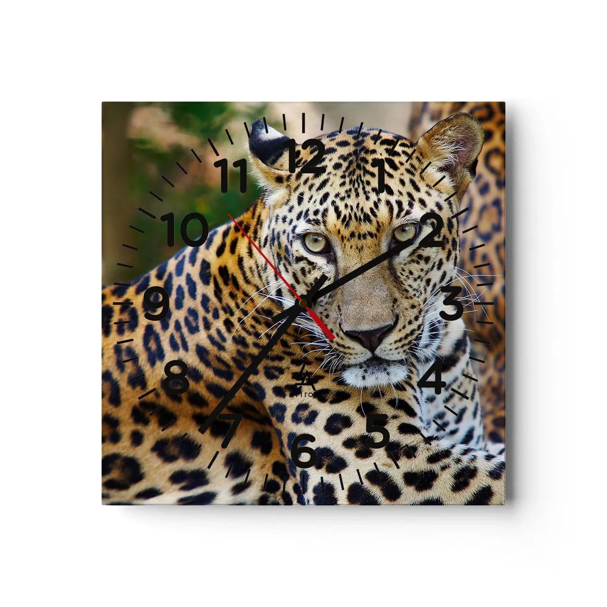 Falióra, Óra - Vad és nyugott - 30x30 cm