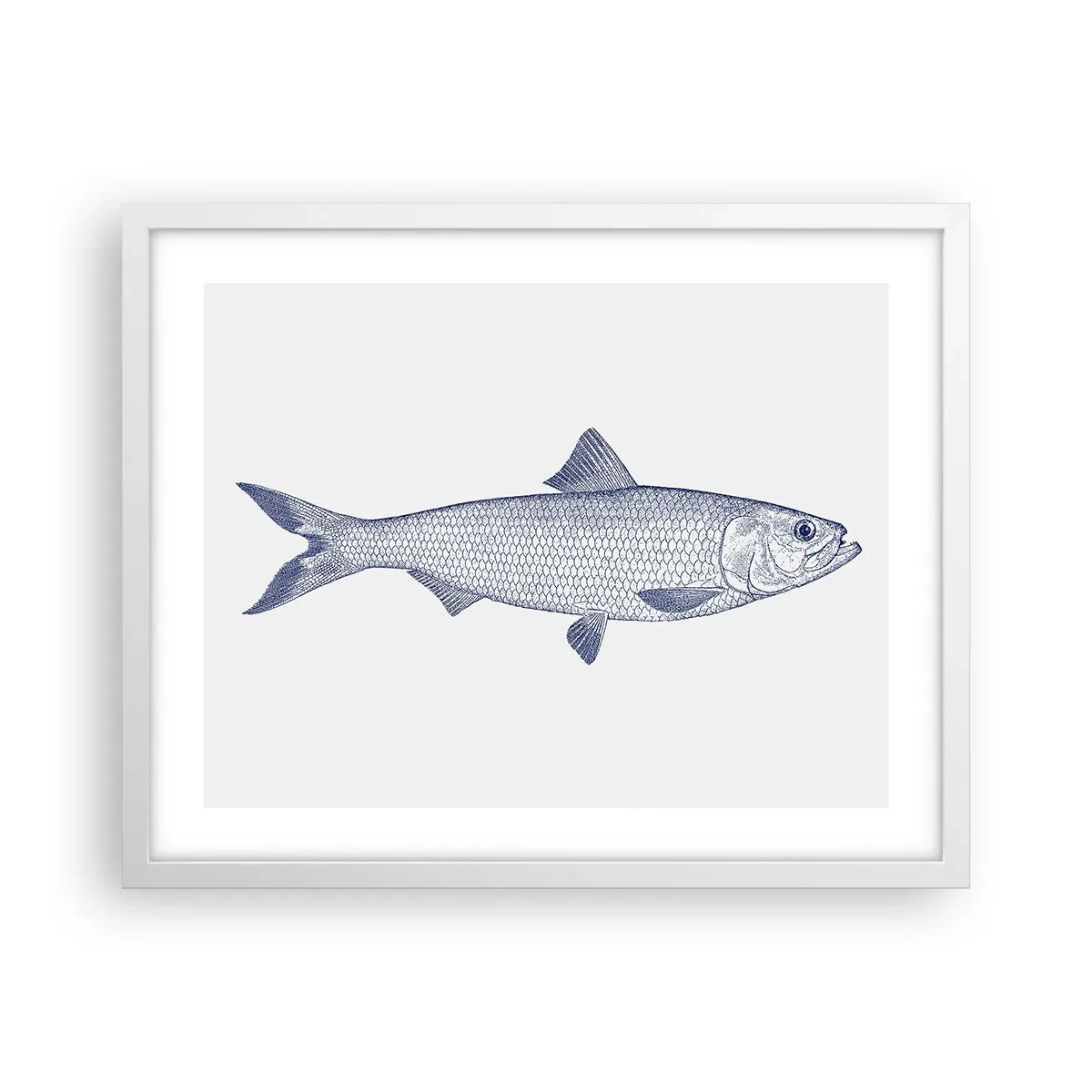 Poszter fekete keretben - Üdvözlet az északi tengerektől - 50x40 cm