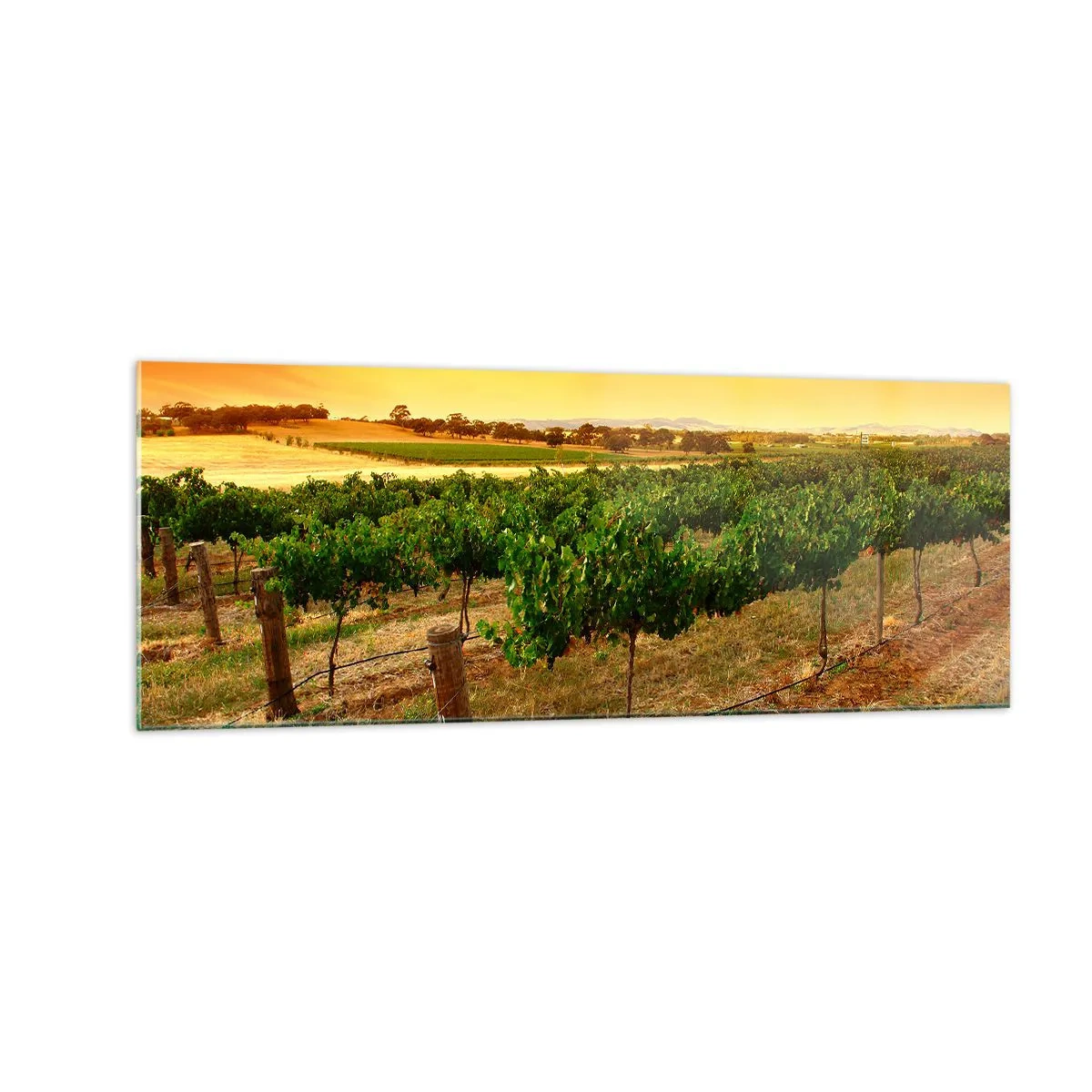 Üveg kép - Inni a napot - 140x50 cm