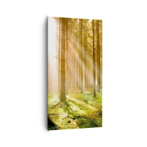 Vászonkép - Hamarosan megjelennek az álfok - 65x120 cm