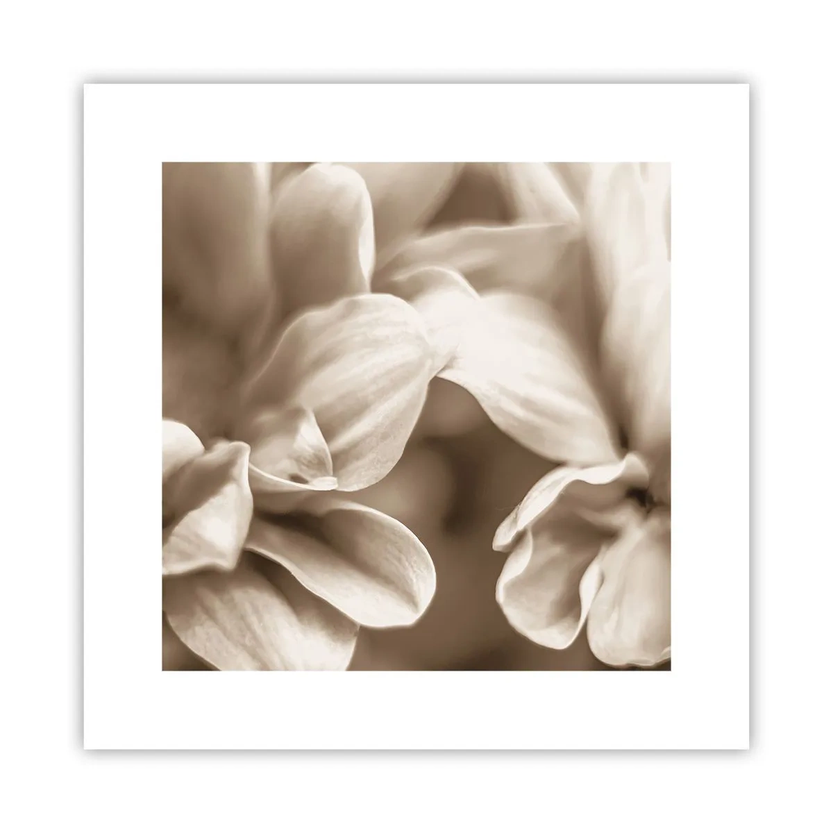 Poszter - Gyengéd, mint egy mosoly - 30x30 cm