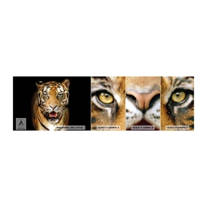 Fotótapéta Minta Öntapadós Deluxe Sticker - Szívében vad - Állatok, Tigris, Ragadozó - 100x30 cm