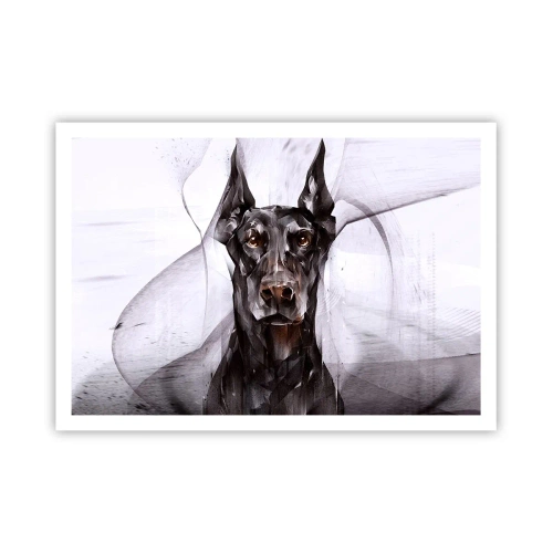 Poszter - Nemes születésű - 100x70 cm