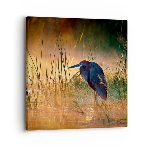 Vászonkép - Hagyjatok békén ezekkel a fotókkal - 30x30 cm