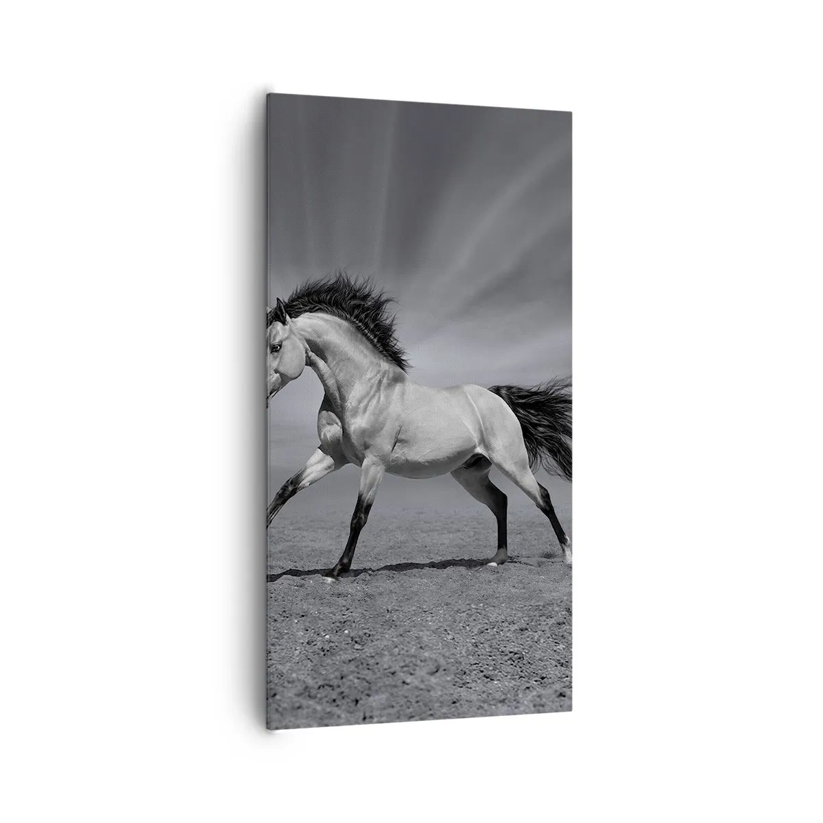 Vászonkép - Megszületett, hogy elképesszen - 65x120 cm