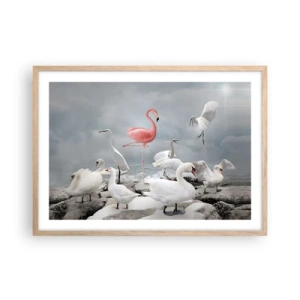 Poszter világos tölgy keretben - Hogy kerültem ide? - 70x50 cm